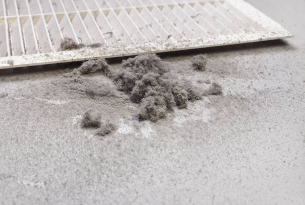 Best Emergency Air Duct Cleaning  in Michigan City, IN