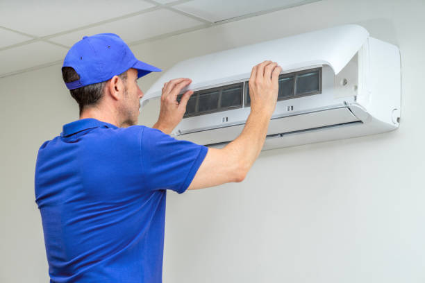 Best Home Air Vent Cleaning  in Michigan City, IN