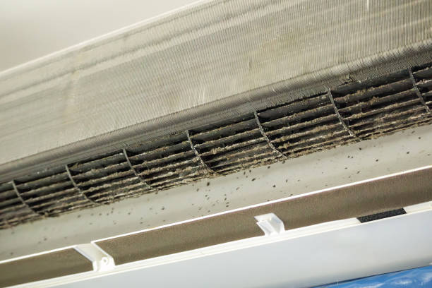 Best Dryer Vent Cleaning Services  in Michigan City, IN