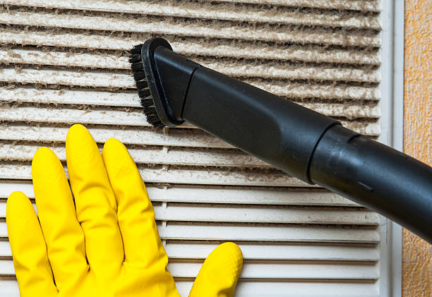 Best HVAC Maintenance and Cleaning  in Michigan City, IN